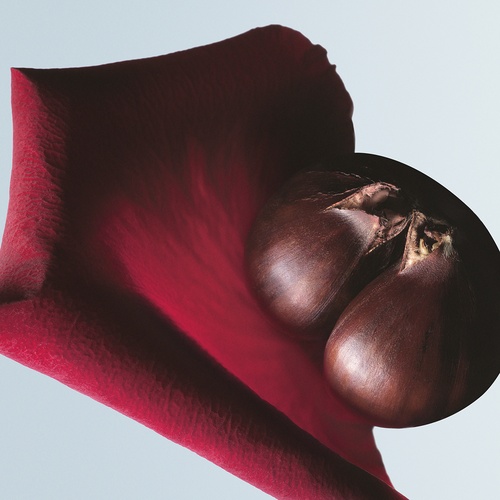DRIES VAN NOTEN Soie Malaquais » buy online | NICHE BEAUTY