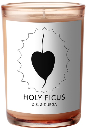 D.S. & DURGA Holy Ficus