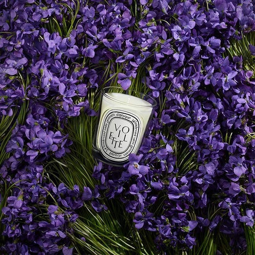 DIPTYQUE Violette Classic Candle » buy online | NICHE BEAUTY
