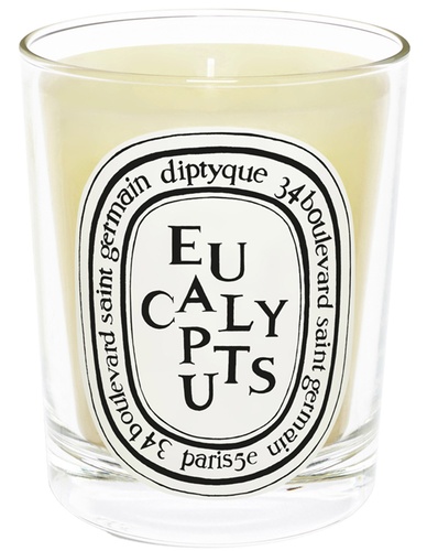 Diptyque Standard Candle Eucalyptus