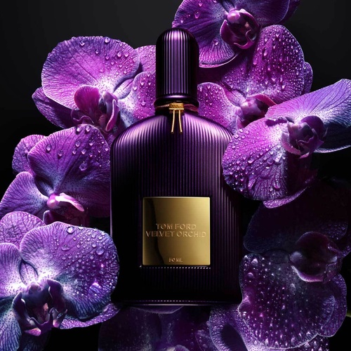 香水(ユニセックス) TOM FORD VELVET ORCHID 50ml TOM FORD Velvet Orchid » buy online | NICHE BEAUTY