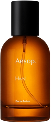 Aesop Hwyl