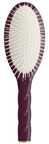 La Bonne Brosse BROSSE LARGE N07 - AUBERGINE
