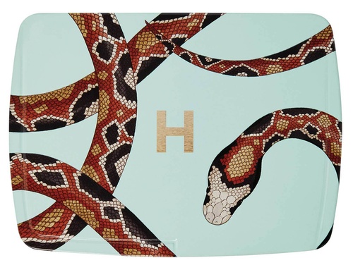 AMBIENT™ LIGHTING EDIT UNLOCKED - SNAKE