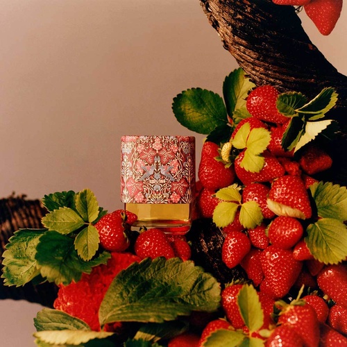LBTY. LIBERTY BEAUTY Vine Thief » buy online | NICHE BEAUTY