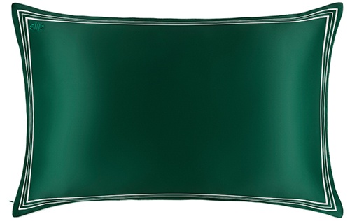 Slip Pure Silk Queen Pillowcase - The Green