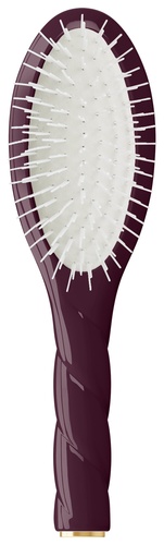 La Bonne Brosse BROSSE SMALL N07 - AUBERGINE