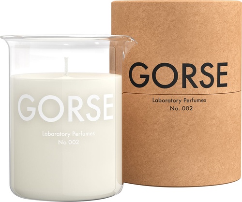 Gorse Candle