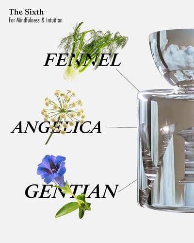 VYRAO The Sixth » buy online | NICHE BEAUTY