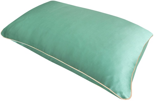 Holistic Silk Pure Silk Pillowcase  Jade