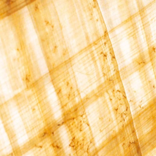 Papyrus Moléculaire - Maison Crivelli | Official online store