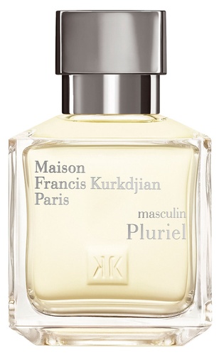 masculin Pluriel