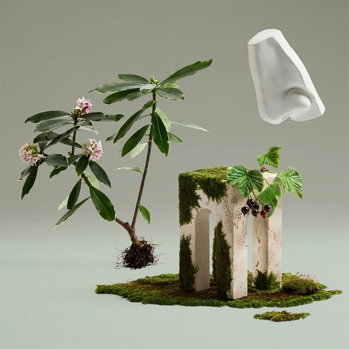 PENHALIGON'S Daphne Bouquet » buy online | NICHE BEAUTY