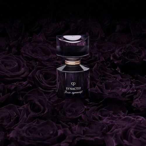 SYNACTIF cle de peau BEAUTE コフレ　シナクティフ SYNACTIF cle de peau BEAUTE コフレ シナクティフ 【公式通販】