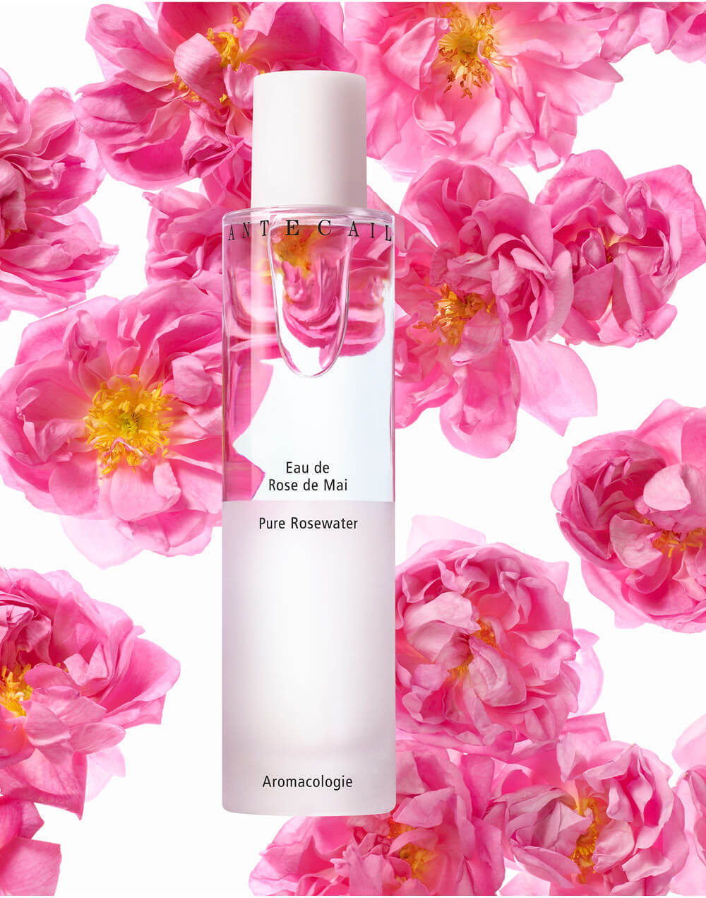 Chantecaille Pure Rosewater