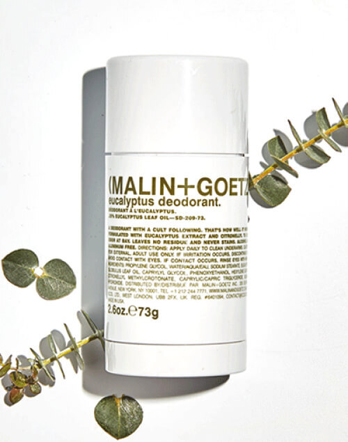 Malin + Goetz Eucalyptus Deodorant 73 g