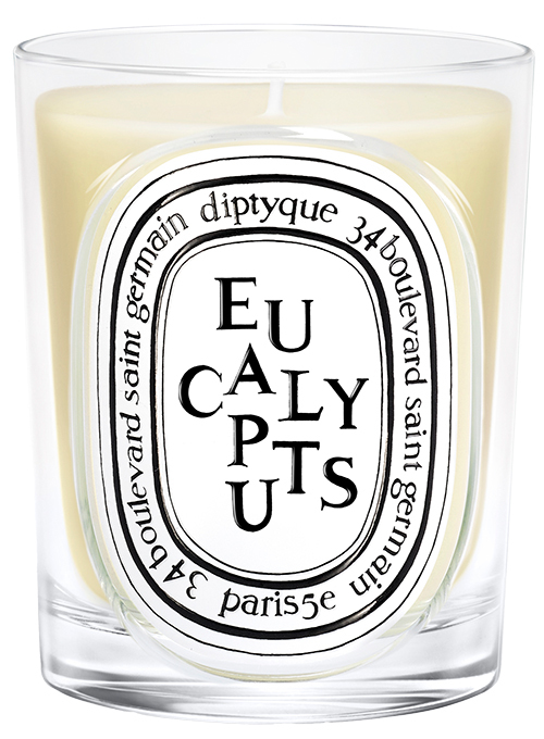 Diptyque - Eucalyptus Classic Candle - Candle