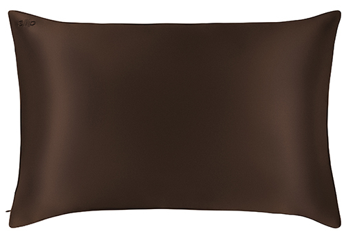 Slip - Pure Silk Queen Pillowcase - chocolate - Silk cushion covers