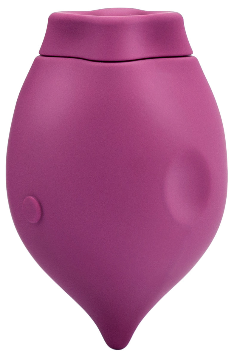 The Poet Suction Toy