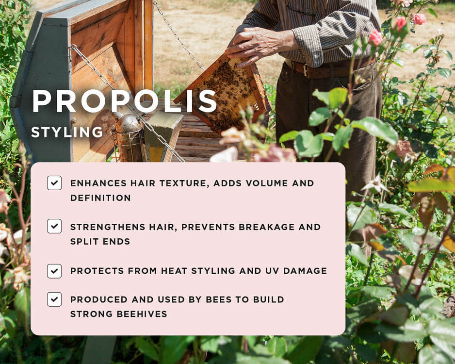 PROPOLIS INFUSED POLISHING PRIMER