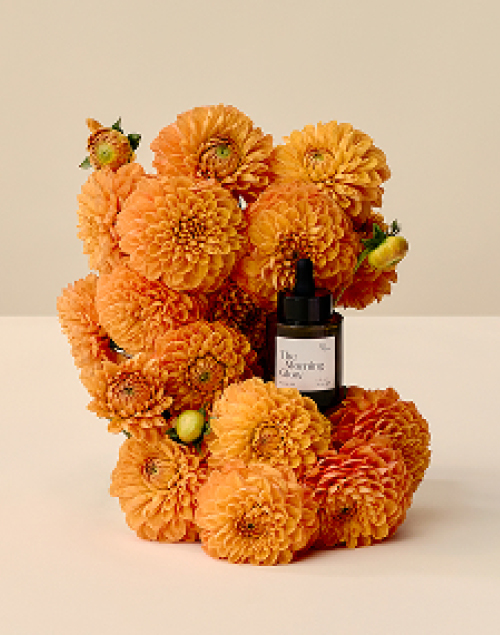 This Place The Morning Glow