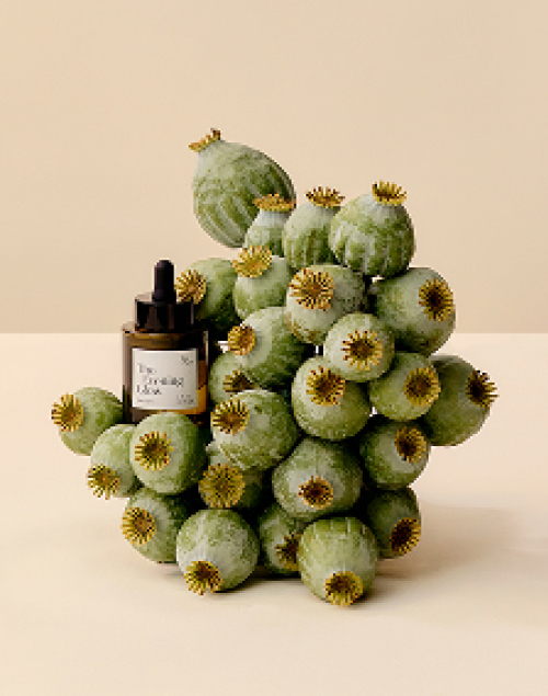 This Place The Evening Glow