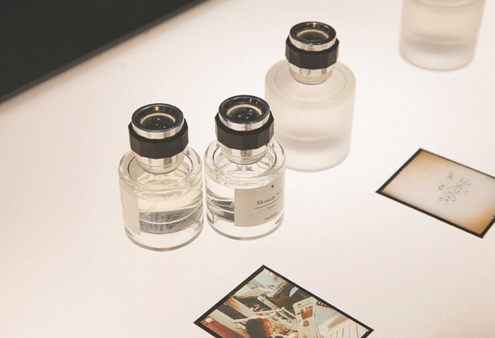 SISOLOGY » buy online | NICHE BEAUTY