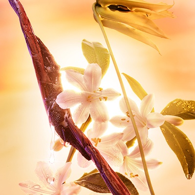 CHARLOTTE TILBURY JOYPHORIA