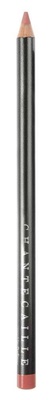 Chantecaille Lip Definer حصيف