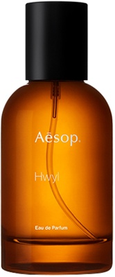 Aesop Hwyl