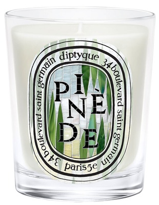 Diptyque Pinède (Pine Grove) - Classic Candle