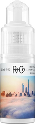 R+Co SKYLINE Volume Powder