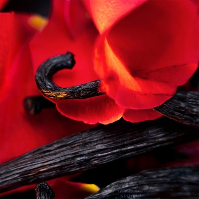 Maison Crivelli Hibiscus Mahajad Extrait