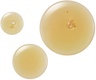 REOME Active Reovery Broth 50 ml