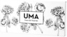 Uma Oils Face Oil Trial Kit