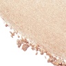 Chantecaille Cheek Light Champagne