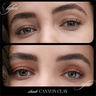 RMS Beauty Cashmere Matte Eyelights Canyon Clay