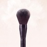 By Terry Powder Brush