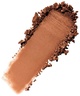 By Terry Tea to Tan Sun Powder 3.Tan Bronze