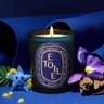 Diptyque Candle Étoile with Lid