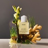 OUAI Scalp Serum