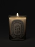 Diptyque Noisetier Classic Candle
