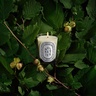 Diptyque Noisetier Classic Candle