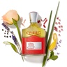 Creed Viking 50 ml