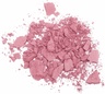 T.LeClerc POWDER BLUSH 13 BOISÉ