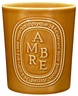 Diptyque Candle Ambre 600g
