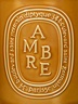Diptyque Candle Ambre 600g