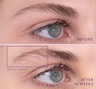 Virtue Flourish Brow Density Booster