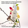 Ouai LEAVE IN CONDITIONER - NORTH BONDI
