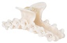 SUI AVA Bright Flower Clip - White